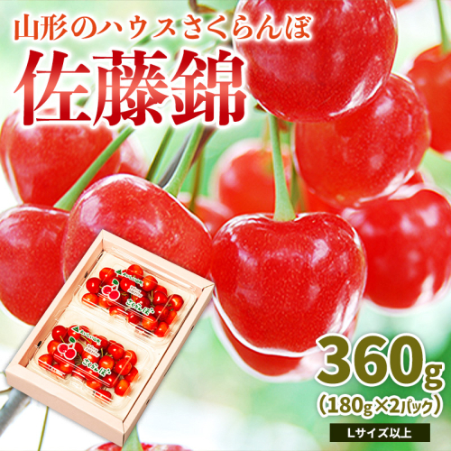 山形のハウス さくらんぼ 佐藤錦 360g(180g×2パック)Lサイズ以上 【令和8年産先行予約】FS25-049 2263812 - 山形県山形市