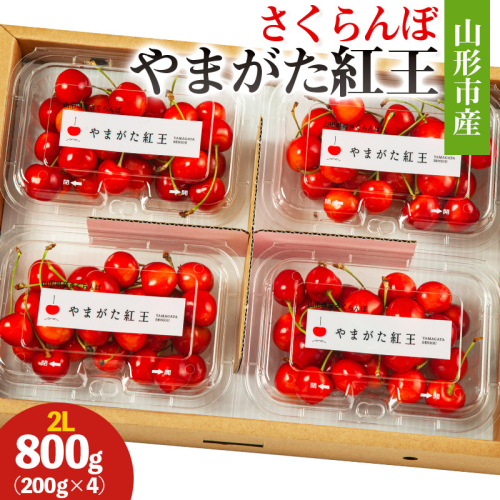 山形市産 さくらんぼ(やまがた紅王)2L 800g(200g×4) 【令和8年産先行予約】FS25-026 2263895 - 山形県山形市