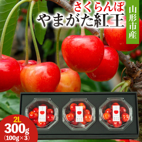 山形市産 さくらんぼ(やまがた紅王)2L 300g(100g×3) 【令和8年産先行予約】FS25-027 2263898 - 山形県山形市