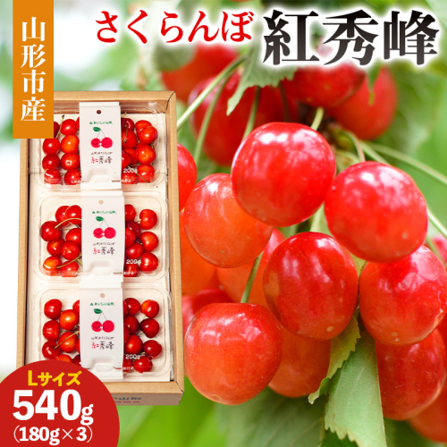 山形市産 さくらんぼ(紅秀峰)L 540g(180g×3) 【令和8年産先行予約】FS25-029 2263921 - 山形県山形市