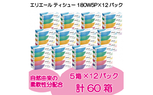 エリエールティッシュー 180W5P×12パック 226426 - 岐阜県可児市