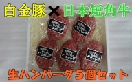白金豚 × 日本短角牛の生ハンバーグ　５個入 【347】