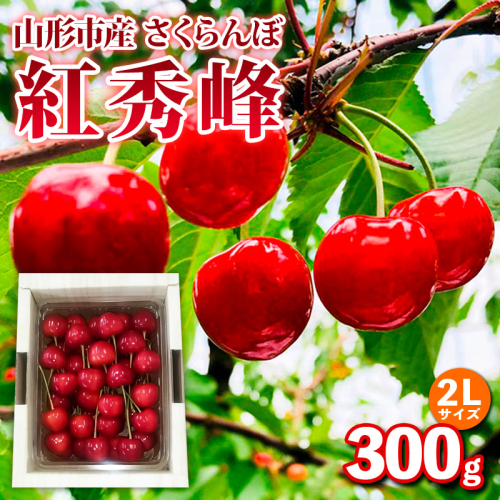 山形市産 さくらんぼ【紅秀峰】2Lサイズ 300g バラ詰め【令和8年産先行予約】FS25-033 2264821 - 山形県山形市