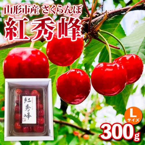 山形市産さくらんぼ【紅秀峰】Lサイズ 300g バラ詰め【令和9年産先行予約】FS25-034 2264925 - 山形県山形市