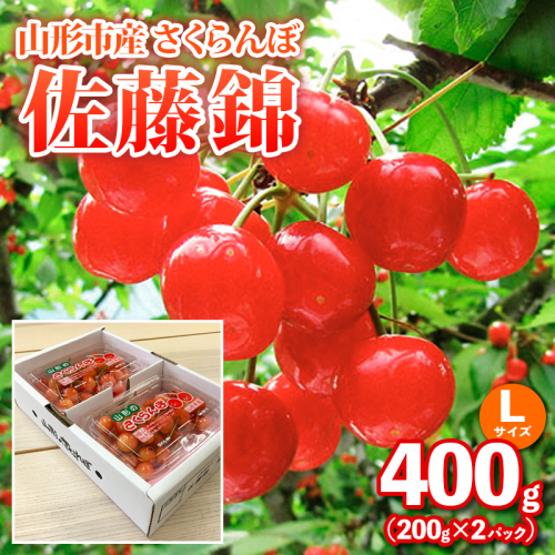 山形市産さくらんぼ【佐藤錦】Lサイズ 400g(200g×2パック) 【令和9年産先行予約】FS25-035 2264954 - 山形県山形市