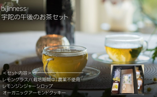 宇陀の午後のお茶セット (化粧箱入り) ／ ふるさと納税 ハーブティー ティーバック セット ギフト お茶 クッキー おやつ お土産 贈り物 シロップ ヨーグルト ホット アイス 国産 奈良県 宇陀市 bijinness
  2264979 - 奈良県宇陀市