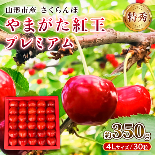 山形市産さくらんぼ「やまがた紅王プレミアム」 約350g 特秀品 4L 30粒  【令和8年産先行予約】FS25-037 2265861 - 山形県山形市