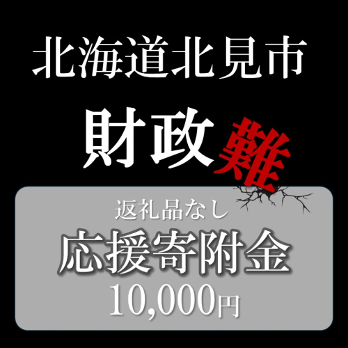 【返礼品なし】北海道北見市 応援寄附(10,000円分)【223-0004】 2266223 - 北海道北見市