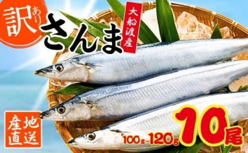 訳あり 鮮さんま 10本 (1本あたり100～120g) 秋刀魚 大船渡 生さんま さんま 鮮魚 大船渡 岩手 