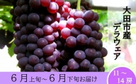 デラウェア（２ｋｇ）【ぶどう 葡萄 デラウェア 2kg フルーツ 果物 くだもの ブドウ 季節限定 期間限定 デザート ご褒美】