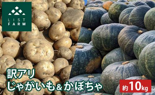 【 訳アリ 】 かぼちゃ じゃがいも 約 10kg 10月 発送 予定 リストファーム サイズ 混合 馬鈴薯 キタカムイ 南瓜 カボチャ 芋 ポテト イモ 産地直送 野菜 2266549 - 北海道倶知安町