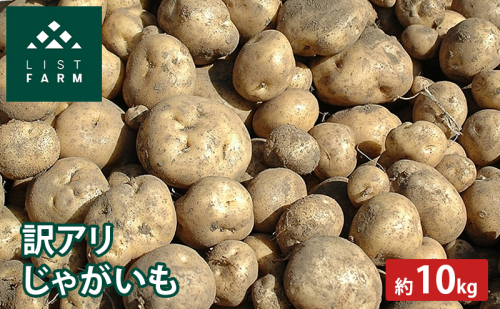 【 訳アリ 】 じゃがいも 約 10kg 男爵 or キタカムイ リストファーム サイズ 混合 馬鈴薯 芋 ポテト イモ 産地直送 野菜 2266550 - 北海道倶知安町