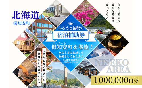 北海道 倶知安町 宿泊 利用 クーポン 【100万円分】チケット 旅行 ホテル パークハイアット ニセコ HANAZONO Panorama Niseko AYA Villas 他 リゾート コンドミニアム コテージ ヴィラ 券 宿泊券 観光 高級 宿 体験 長期滞在 旅  2266591 - 北海道倶知安町