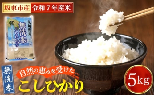 No.862 令和7年産 無洗米こしひかり5kg【坂東市産】 / コシヒカリ コメ こめ お米 便利 茨城県 2266739 - 茨城県坂東市