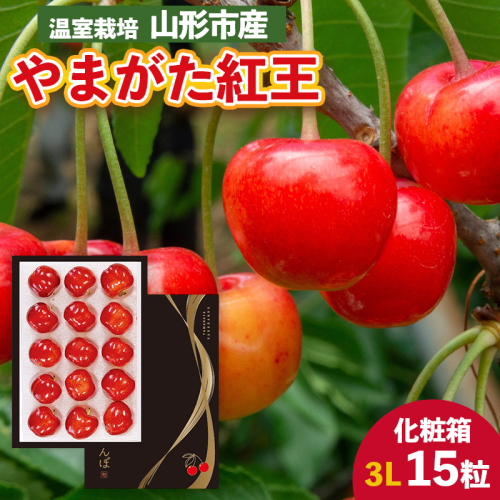 温室栽培 山形市産「やまがた紅王」3L 15粒 化粧箱 【令和8年産先行予約】FS25-025 2266746 - 山形県山形市