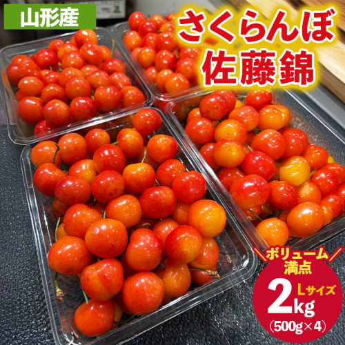 ご家庭みんなで楽しむ2kg！さくらんぼ 佐藤錦 Lサイズ 2kg (500g×4パック入り) 【令和8年産先行予約】FS25-031 2266747 - 山形県山形市