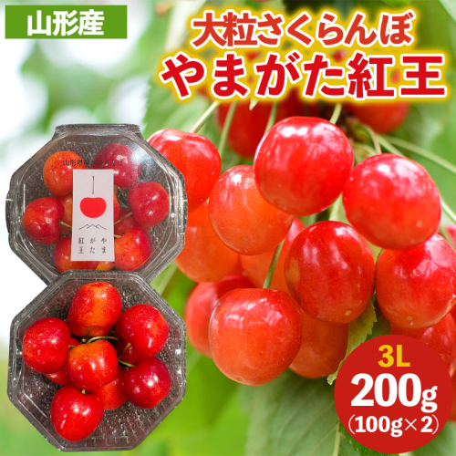 大粒のさくらんぼ やまがた紅王 3Lサイズ 200g (100g×2パック入り) 【令和8年産先行予約】FS25-038 2266749 - 山形県山形市