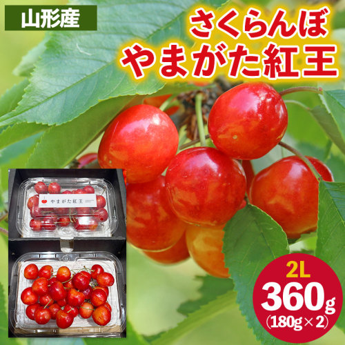 さくらんぼ ”やまがた紅王” 2Lサイズ 360g(180g×2パック入り) 【令和8年産先行予約】FS25-054 2266752 - 山形県山形市