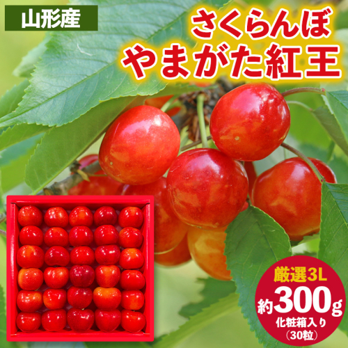 さくらんぼ ”やまがた紅王” 厳選 3Lサイズ 30粒 化粧箱入り(約300g) 【令和8年産先行予約】FS25-056 2266756 - 山形県山形市