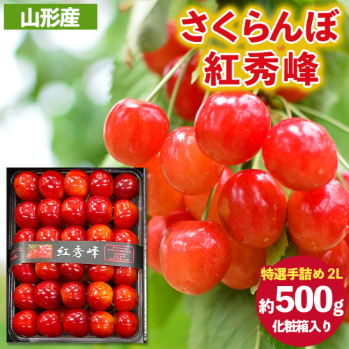 さくらんぼ 紅秀峰 ”特選手詰め” 2Lサイズ 化粧箱入り(約500g) 【令和8年産先行予約】FS25-057 2266780 - 山形県山形市