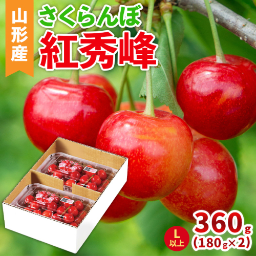 山形産 さくらんぼ(紅秀峰) L以上 360g(180g×2パック)  【令和8年産先行予約】FS25-040 2266783 - 山形県山形市