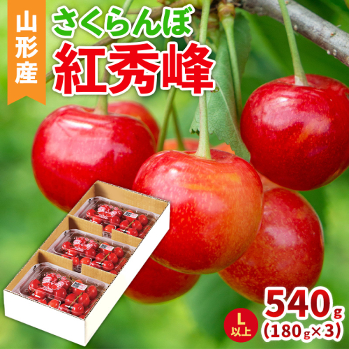 山形産 さくらんぼ(紅秀峰) L以上 540g(180g×3パック) 【令和8年産先行予約】FS25-041 2266784 - 山形県山形市