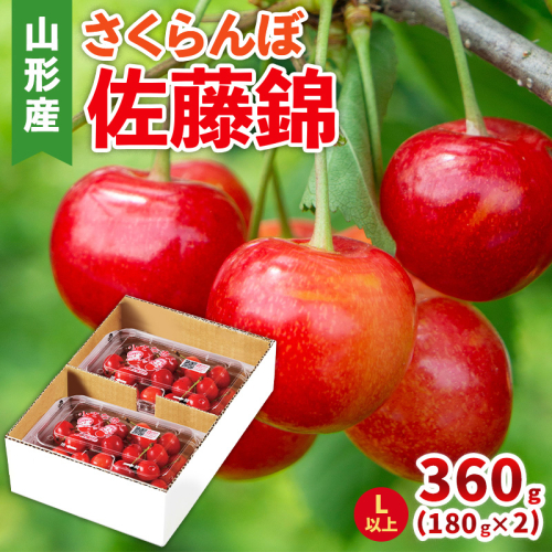 さくらんぼ(佐藤錦) Lサイズ 360g(180g×2パック) 【令和8年産先行予約】FS25-044 2266792 - 山形県山形市