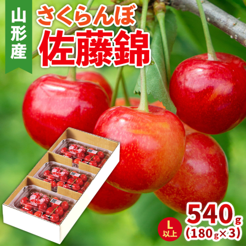 さくらんぼ(佐藤錦) Lサイズ 540g(180g×3パック) 【令和8年産先行予約】FS25-045 2266793 - 山形県山形市