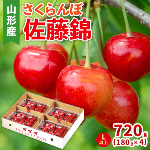 さくらんぼ(佐藤錦) Lサイズ 720g(180g×4パック) 【令和8年産先行予約】FS25-046 2266794 - 山形県山形市