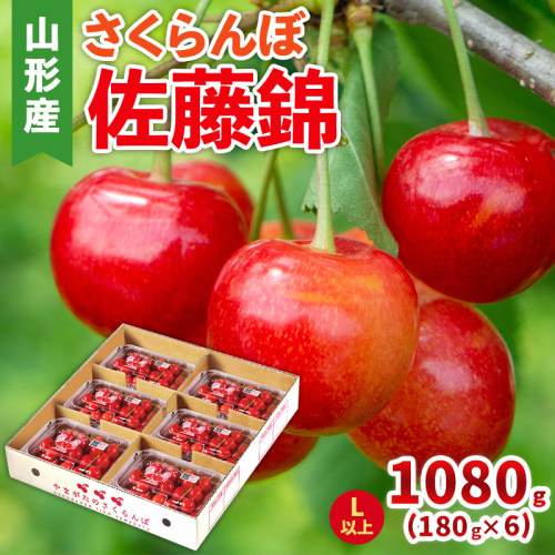 さくらんぼ(佐藤錦) Lサイズ 1080g(180g×6パック)【令和8年産先行予約】FS25-047 2267056 - 山形県山形市