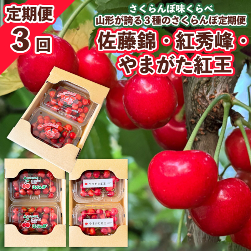 【定期便3回】さくらんぼ味くらべ 山形が誇る3種のさくらんぼ定期便 (佐藤錦・紅秀峰・紅王) 【令和9年産先行予約】FS25-039 2267057 - 山形県山形市