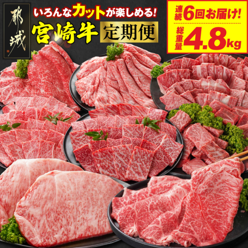 ≪6回連続お届け≫いろんなカットが楽しめる宮崎牛定期便M(総重量4.8kg)_T100-6-N201 2267058 - 宮崎県都城市