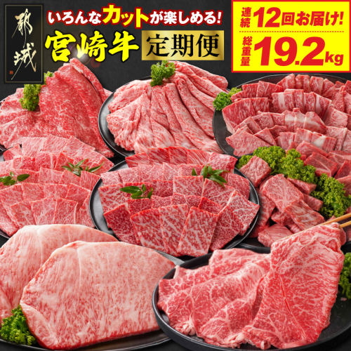 ≪12回連続お届け≫いろんなカットが楽しめる宮崎牛定期便L(総重量19.2kg)_T358-12-N201 2267061 - 宮崎県都城市
