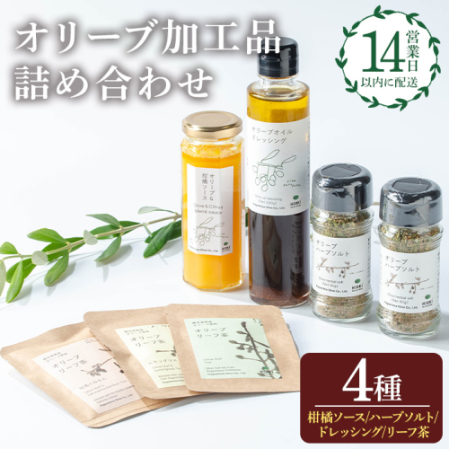 No.1271 日置市産オリーブ加工品詰め合わせセット！(計4種) オリーブ＆柑橘ソース ハーブソルト ドレッシング オリーブリーフ茶  調味料 ギフト 贈答 プレゼント【鹿児島オリーブ】 2267068 - 鹿児島県日置市