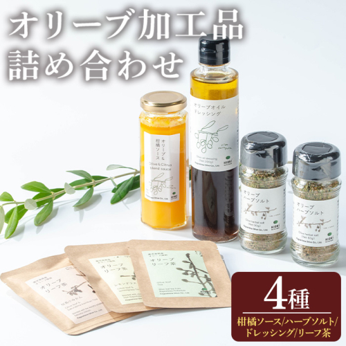 No.1271 日置市産オリーブ加工品詰め合わせセット！(計4種) オリーブ＆柑橘ソース ハーブソルト ドレッシング オリーブリーフ茶  調味料 ギフト 贈答 プレゼント【鹿児島オリーブ】 2267068 - 鹿児島県日置市