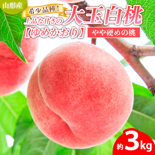 希少品種！！上品な甘さの大玉白桃【ゆめかおり】約3kg [やや硬めの桃]  FY25-322 2267069 - 山形県山形市