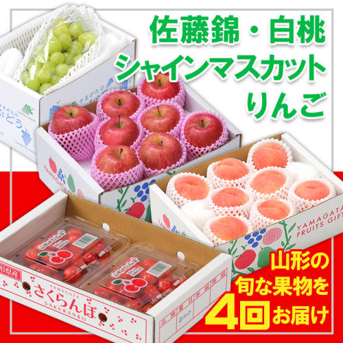 【定期便4回】☆フルーツ王国山形☆『佐藤錦、白桃、シャインマスカット、りんご』 FY25-309 2267101 - 山形県山形市