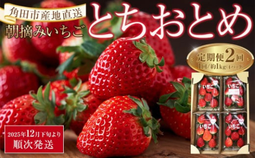 【定期便2回】【角田市産地直送】朝摘みいちご「とちおとめ」合計約1kg（250g×4パック）｜配送不可地域：北海道・沖縄県・離島 2267104 - 宮城県角田市