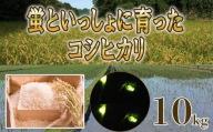 ＜R7年先行予約＞コシヒカリ 10kg　蛍と一緒に育てたコシヒカリ 米どころ三重県産うつべ農園米【令和７年１１月発送】