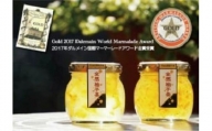 A4301おうごんのくに金箔柚子茶2個セット（110g×2個）