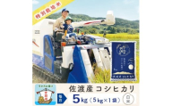 【新米予約 9か月定期便】佐渡島産コシヒカリ 白米5Kg 令和7年 特別栽培米 農家直送