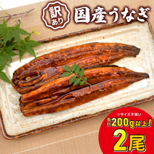 【7日以内発送！】お試し 訳ありさかい河岸水産 国産うなぎ 2尾 200g以上 K2629S 2267310 - 茨城県境町
