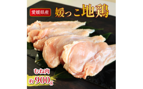 地鶏 愛媛 媛っこ地鶏 むね肉 約900g 鶏肉 鳥肉 肉 チキン むね 焼肉 焼き鳥  BBQ 冷凍 国産 高級 タンパク質 低脂肪 糖質 唐揚げ サラダチキン スープ 出汁 愛南町 送料無料 ローカルスタンダード 2267311 - 愛媛県愛南町