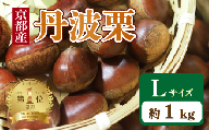 【 期間限定 】 京都府産 丹波栗 1kg Lサイズ 栗 大粒 秋 旬 味覚 くり 国産 丹波ぐり 丹波くり 生栗 生ぐり 和栗 生くり 京都 京都府 JA JA京都
