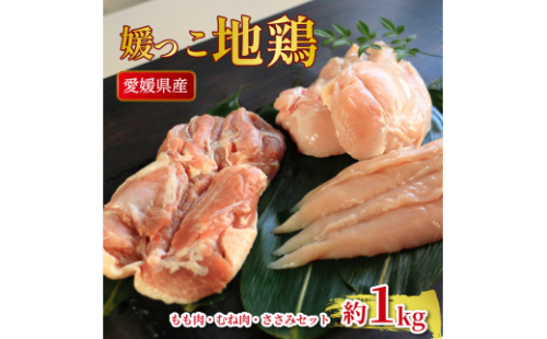 地鶏 愛媛 媛っこ地鶏 もも むね ささみセット 約1kg 鶏肉 鳥肉 肉 チキン むね肉 もも肉  焼肉 焼き鳥  BBQ 冷凍 国産 高級 タンパク質 低脂肪 糖質 唐揚げ チキン南蛮 サラダチキン スープ 出汁 ダイエット 愛南町 送料無料 ローカルスタンダード 2267408 - 愛媛県愛南町