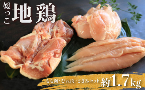 地鶏 愛媛 媛っこ地鶏 もも むね ささみセット 約1.7kg 鶏肉 鳥肉 肉 チキン むね肉 もも肉  焼肉 焼き鳥  BBQ 冷凍 国産 高級 タンパク質 低脂肪 糖質 唐揚げ チキン南蛮 サラダチキン スープ 出汁 ダイエット 愛南町 送料無料 ローカルスタンダード 2267409 - 愛媛県愛南町