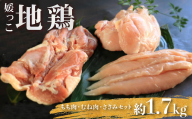 地鶏 愛媛 媛っこ地鶏 もも むね ささみセット 約1.7kg 鶏肉 鳥肉 肉 チキン むね肉 もも肉  焼肉 焼き鳥  BBQ 冷凍 国産 高級 タンパク質 低脂肪 糖質 唐揚げ チキン南蛮 サラダチキン スープ 出汁 ダイエット 愛南町 送料無料 ローカルスタンダード