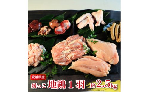 地鶏 愛媛 媛っこ地鶏 1羽セット 約2.5kg 鶏肉 鳥肉 肉 チキン むね肉 もも肉 ささみ レバー せせり ハツ 砂肝 焼肉 焼き鳥  BBQ 冷凍 国産 高級 タンパク質 低脂肪 糖質 唐揚げ チキン南蛮 サラダチキン スープ 出汁 モツ煮 ダイエット 愛南町 送料無料 ローカルスタンダード 2267410 - 愛媛県愛南町