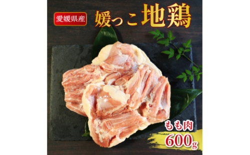 地鶏 愛媛 媛っこ地鶏 もも肉 約600g 鶏肉 鳥肉 肉 チキン むね 焼肉 焼き鳥  BBQ 冷凍 国産 高級 タンパク質 低脂肪 糖質 唐揚げ チキン南蛮 サラダチキン スープ 出汁 愛南町 送料無料 ローカルスタンダード 2267411 - 愛媛県愛南町