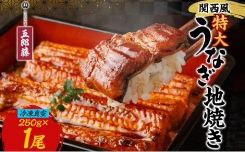 関西風うなぎ地焼き特大 冷凍真空 1尾×250g うなぎ ウナギ タレ 老舗 伝統 蒲焼き 真空パック 小分け 丑の日 ひつまぶし うな重 お取り寄せ グルメ プレゼント 贈答 贈り物 土用の丑の日 五郎藤 大阪府 堺市 2267419 - 大阪府堺市